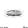 Stainless Steel Wire 0.3mm