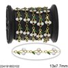 Stainless Steel Link Chain Cherries with Enamel Two Sided 13x7.7mm