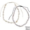 Cord Necklace with Shells and Macrame Clasp