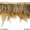 Row of Decorative Feathers 5-13cm