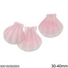 Shell Pendant 30-40mm
