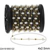 Stainless Steel Link Chain with Shell Rondelle Bead 5x3mm