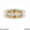 Stainless Steel Wire 0.3mm