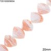 Murano Glass Beads Clam 20mm