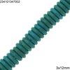 Χάνδρες Τυρκουάζ Δίσκος Πλακέ 3x12mm
