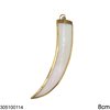 Shell Pendant Tooth 8cm