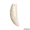 Shell Pendant Tooth 4-5cm