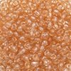 Glass Rocaille Beads 6/0 (4.1mm)
