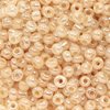 Glass Rocaille Beads 6/0 (4.1mm)