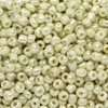 Glass Rocaille Beads 6/0 (4.1mm)