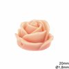 Plastic Rose Bead 20mm  Φ1,8mm 