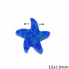 Starfish Opal Bead 12x13mm