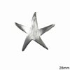 Casting Starfish 28mm