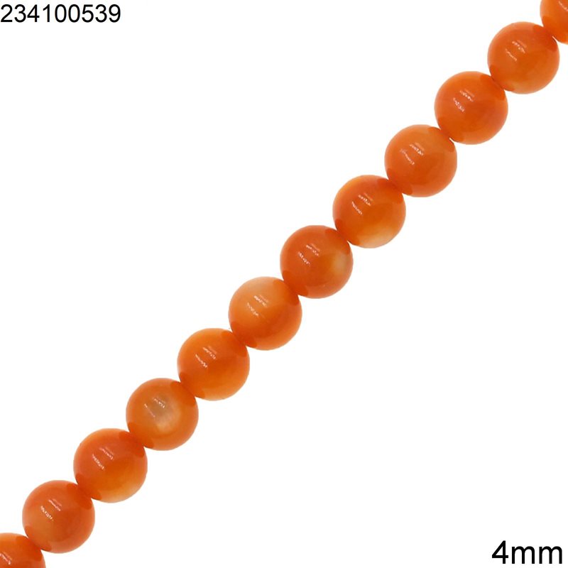 Shell Beads 4mm