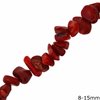 Coral Chips Beads 8-15mm