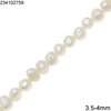 Freshwater Pearl Beads 3.5x4mm