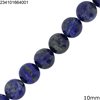 Sodalite Beads 10mm