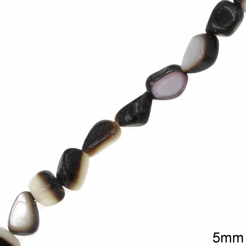 Shell  Beads 5mm