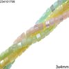 Shell Tube Bead 3x4mm