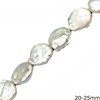 Freshwater Pearl Round Flat Beads 20-25mm