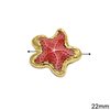 Pasta Beads Starfish 22mm