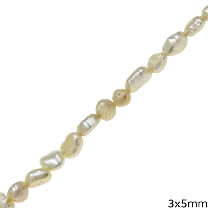 Round Flat Freshwater Pearl Beads 3x5mm