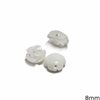 Shell Rose Beads 8mm