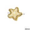 Pasta Beads Starfish 22mm