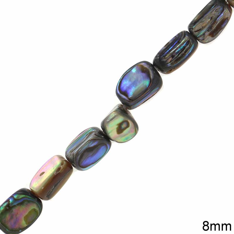 Abalone Shell Beads 8mm