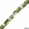 Shell Tube Bead 3x4mm