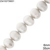 Freshwater pearl Beads 6mm