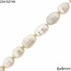 Rice Baroque Freshwater Pearl Beads 6x9mm
