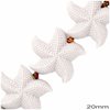 Starfish pasta Beads 3D 20mm