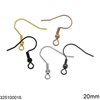 Stainless Steel Earring Hook 20mm