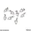 Stainless Steel Lobster Claw Clasp 10mm with 2 Jump Rings