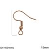 Stainless Steel Earring Hook 20mm