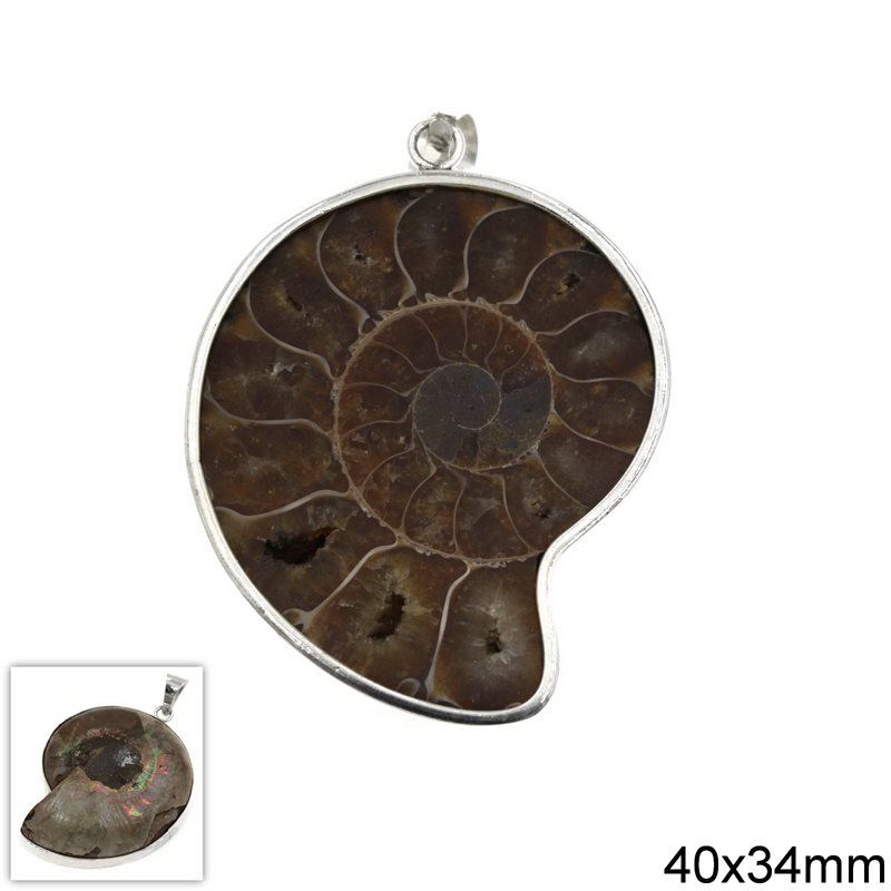 Silver 925 Pendant Fossil Seashell 40x34mm