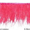 Row of Thin Decorative Feathers 5-18cm