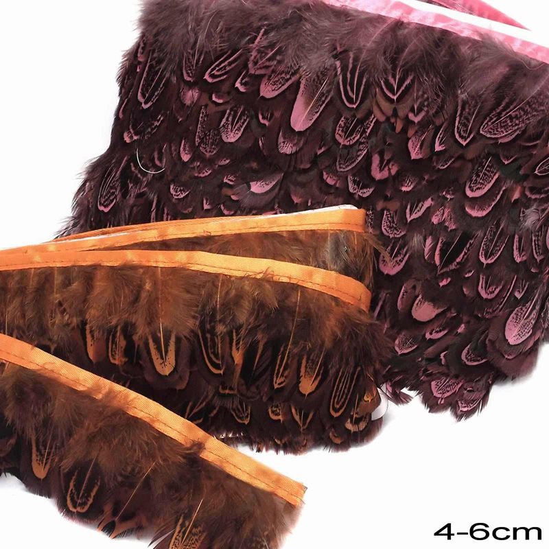 Row of Two Tone Decorative Feathers 4-6cm