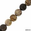 Brown Zebra Beads 10mm