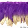 Row of Two tone Decorative Feathers 15-18cm