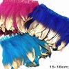 Row of Two tone Decorative Feathers 15-18cm