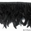 Row of Decorative Feathers 6-17cm