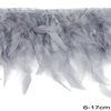 Row of Decorative Feathers 6-17cm