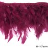 Row of Decorative Feathers 6-17cm