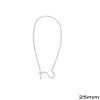 Brass Kidney Earring Hook 25mm