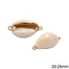Cowry Shell Spacer 20-25mm