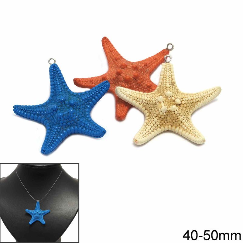 Natural Starfish Pendant 40-50mm