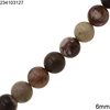 Brown Zebra Beads 6mm