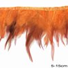 Row of Two Tone Decorative Feathers 5-15cm
